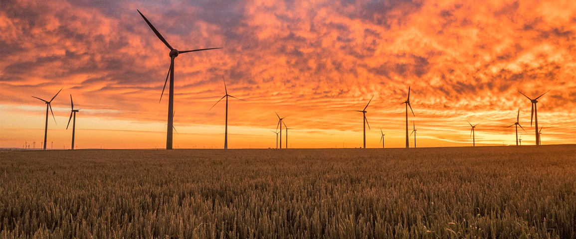 Energieeffizienz web